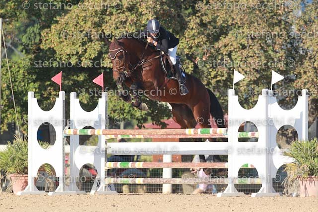 GRIVETTO_FIOR DI PESCO_GIO CAV 2011_SS3_6302.jpg